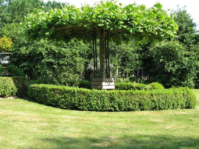 Erfgoedlogies Bed And Breakfast 'T Olde Hof Westervelde Екстериор снимка